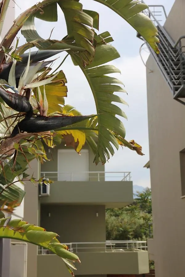 Διαμέρισμα Kamares Apts - Antonis Cozy Maisonette Χανιά Ελλάδα